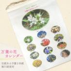 万葉の花カレンダー 細川紙 新年度 令和9年版