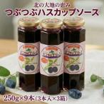 つぶつぶハスカップソース セット 250g×9本