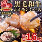 黒毛和牛 ミックスホルモン 牛ホルモン 合計1.6kg