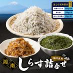 しらす漁師直売 湘南釜揚げ しらす 生しらす沖漬け