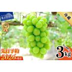 ふるさと納税 山梨県産シャインマスカット3kg 【2026年発送先行予約】 フルーツ シャインマスカット 山梨県富士吉田市
