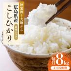 米 定期便 4ヶ月 8kg