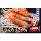 噴火湾産ボタンエビメス400g×2 えび