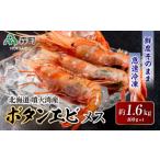 噴火湾産ボタンエビメス400g×4 えび