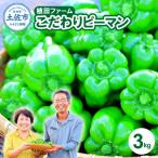 植田ファームのこだわりピーマン 3kg〈2026年10月1日~2027…