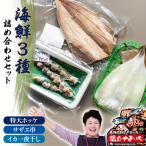 3種詰め合わせセット 特大ホッケ サザエ串