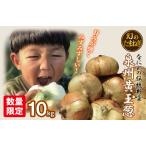 fu.... налог [ предшествующий предварительный заказ ] ограниченное количество иллюзия. лук репчатый Izumi . желтый шар лук порей 10kg Osaka (столичный округ) Izumi .. город 