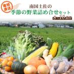 農家直送 季節の野菜 8~10種類
