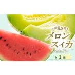 ふるさと納税 メロン スイカ セット 計2玉 【メロン 果物 メロン フルーツ メロン 旬 メロン 高評価 メロン 人気 メロン おすすめ】 高知県南国市