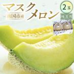マスクメロン 2玉入