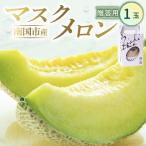 マスクメロン 1玉入