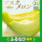 マスクメロン 2玉入