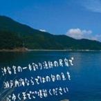 沖家室島の一本釣り漁師のお宿で旬の味覚に舌鼓