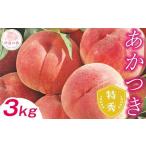 ふるさと納税 【2025年出荷分 先行予約】福島の桃 あかつき 特秀 約3kg(9〜12玉)伊達市産桃 透過式光センサー選別 先行予約 F20C-278 福島県伊達市