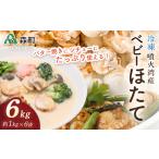 噴火湾産 冷凍ベビーほたて約1kg×6袋 合計6kg