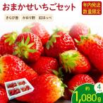 いちご 約1kg