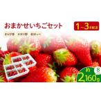 ふるさと納税 2026年1月より順次発送予定 いちご 2kg 以上 おまかせ いちご 静岡県藤枝市