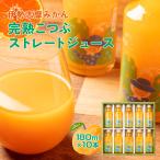 みかんジュース 南伊勢の五ヶ所 みかん ジュースセット