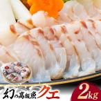 対馬産 幻の高級魚 クエ 2kg