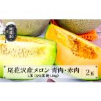 ふるさと納税 メロン 2種食べ比べセット 2玉 令和7年産 2025年産 7月下旬〜8月上旬頃発送 グレース メロン クインシー メロン 青肉メロン 赤肉.. 山形県尾花沢市