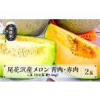 ふるさと納税 メロン 2種食べ比べセット 2玉 令和6年産 7月下旬〜8月上旬頃発送 グレース メロン クインシー メロン 青肉メロン 赤肉メロン 山形県尾花沢市