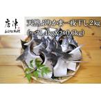天然ぶりかま一夜干し ハーフ2食×7袋 計1.4kg