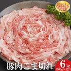 養生館 豚小間切れ 6kg