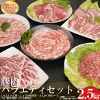 養生館 豚肉セット 2.5kg
