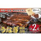 うなぎ食べ比べセット 三河一色産 備長炭手焼き