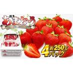 fu.... налог [2027 год 2 месяц .. последовательный отправка ] Hakata ....4 упаковка примерно 1kg[H2243] Fukuoka префектура удача Цу город 