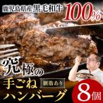 黒毛和牛 100% ハンバーグ 100g