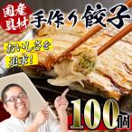 i219 豚肉使用 手作り餃子100個セット 10個×10パック