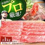 牛肉切り落とし 佐賀牛 計1kg