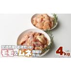 小分け真空パック 若鶏 唐揚げカット 200g×20パック