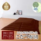 200×200 ダウン80% ブラウン