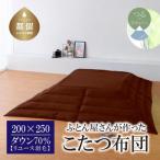 200×250 ダウン70% ブラウン