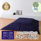 200×250 ダウン70% ネイビー
