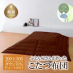 200×300 ダウン70% ブラウン