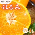 はるみ 約4kg