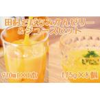 田村そだちみかんゼリー&ジュースセット