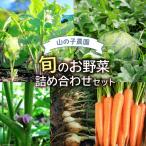 旬のお野菜詰め合わせセット