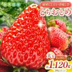 いちご とちおとめ 1120g