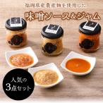 産農産物を使用した味噌ソース&ジャム3点セット