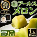 高級 アールスメロン 大玉 1玉