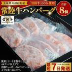 ハンバーグ8個 ソース付 130g×8個