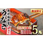 ふるさと納税 【0304313a】<訳あり>東串良町のうなぎ蒲焼(無頭)(5尾以上・計約1kg・タレ、山椒付) 数量限定 うなぎ 高級 ウナギ 鰻 国産 .. 鹿児島県東串良町