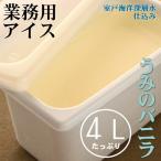 ★5 バニラアイスクリーム4L 塩アイスクリーム