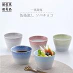 そばちょこ 5色セット 食器 皿 波佐見焼
