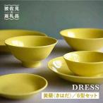 黄蘗色 きはだ 色 6型セット 小皿 茶碗 小鉢