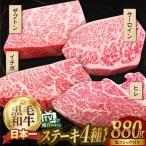 牛肉ステーキ 食べ比べ 計880g